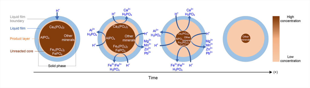 Researchers recover vital resources from wastewater sludge