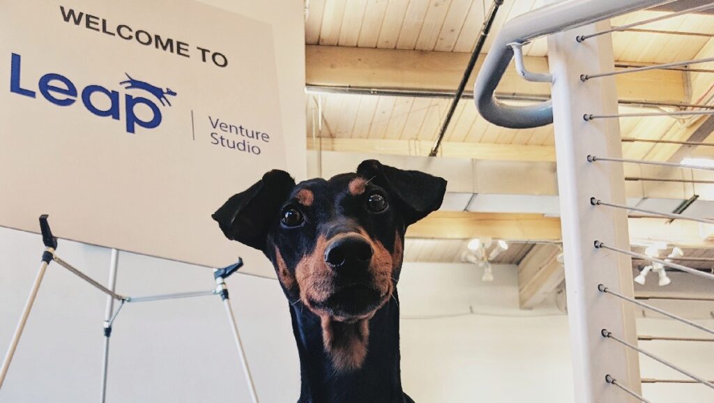 Leap Venture Studio invites pet care startups to apply for its program