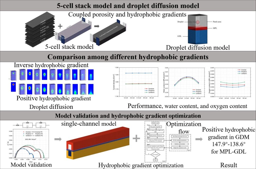 Reduced risk of PEMFC flooding by gas diffusion media hydrophobic gradient