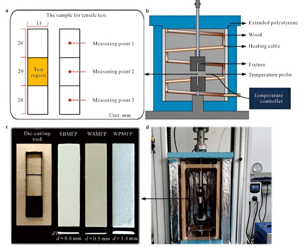 Understanding the impact of environmental factors on molded fiber products