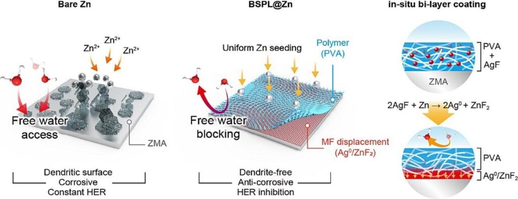 Accelerating the practical application of next-gen batteries that are fire-resistant through dual-layer coating