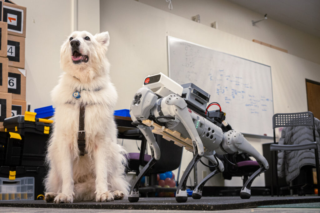 To optimize guide-dog robots, first listen to the visually impaired