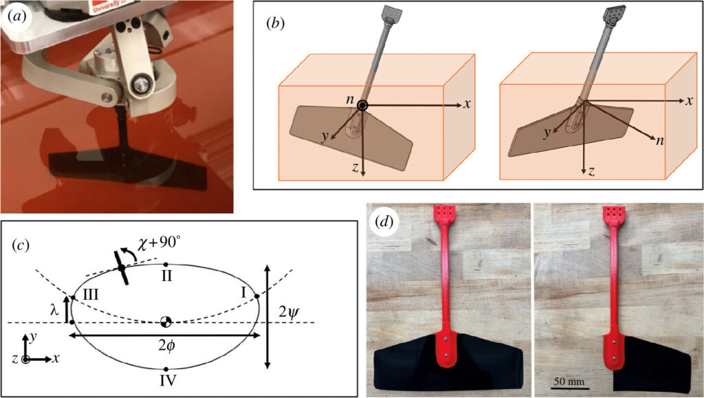 Robots, like animals, can adapt after injuries