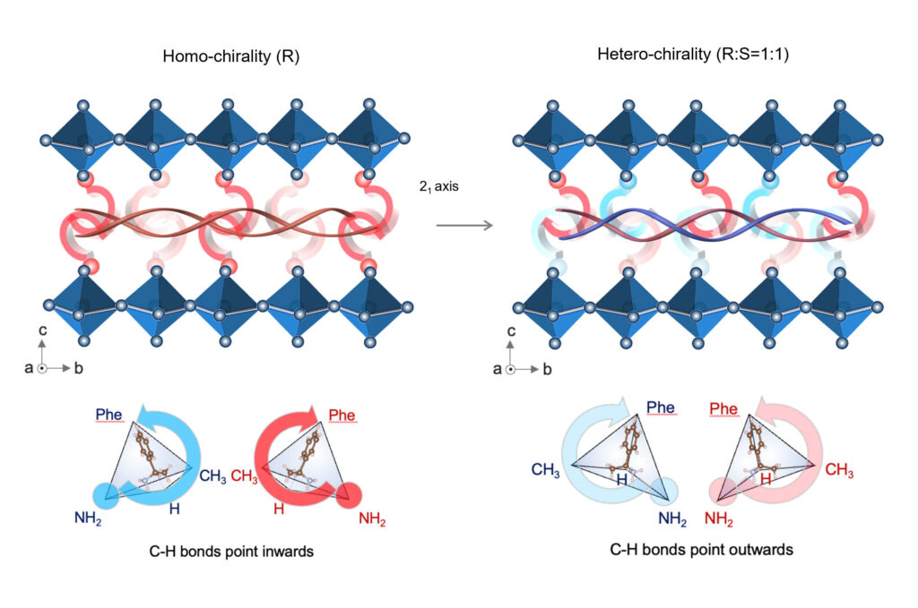 Engineers enhance perovskite solar cells durability with first-of-its-kind chiral-structured 'springy' interface