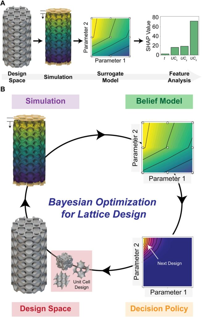 Researchers unleash machine learning in designing advanced lattice structures