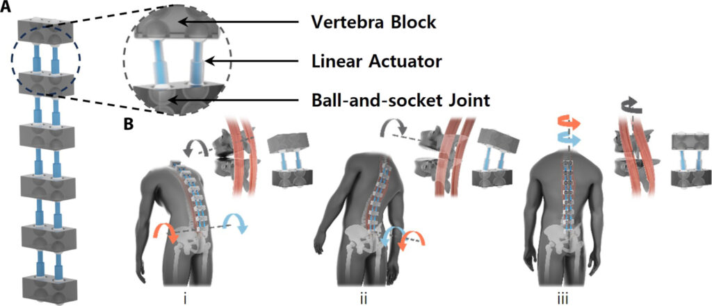 The Bilateral Back Extensor Exosuit