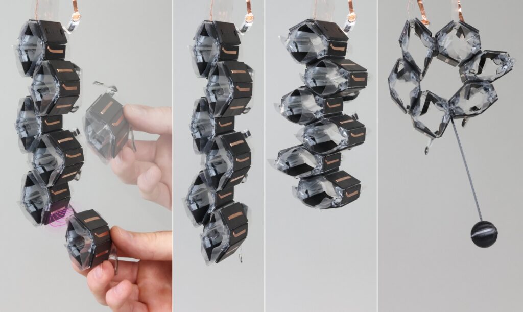 Combining soft artificial muscles with a rigid, magnetic exoskeleton to create building blocks for versatile robots