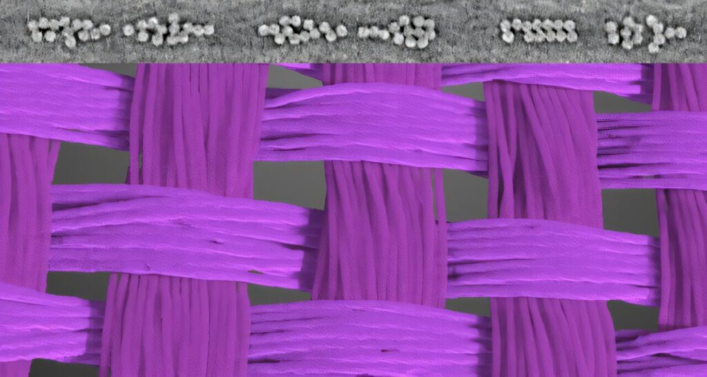 A micro-scale look at how parachute fibers act under stress