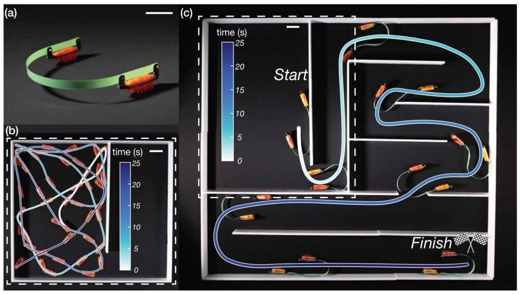 Flexible tethers enable paired bots to solve mazes and gather objects