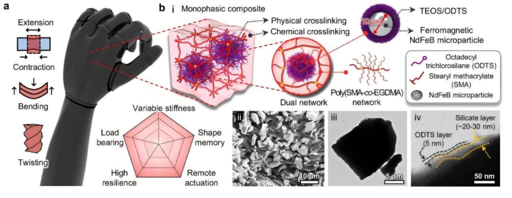 Artificial magnetic muscles can support tensile stresses up to 1,000 times their own weight