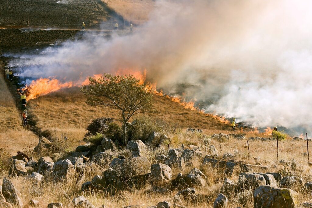 Crowdsourcing system aims to map wildfires in seconds