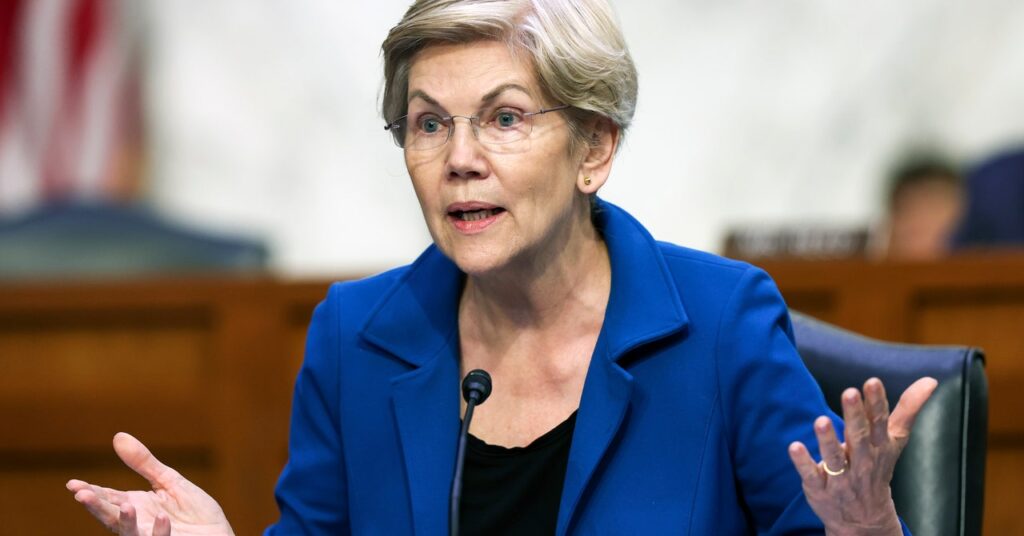 Elizabeth Warren Calls for Crackdown on Internet ‘Monopoly’ You’ve Never Heard Of