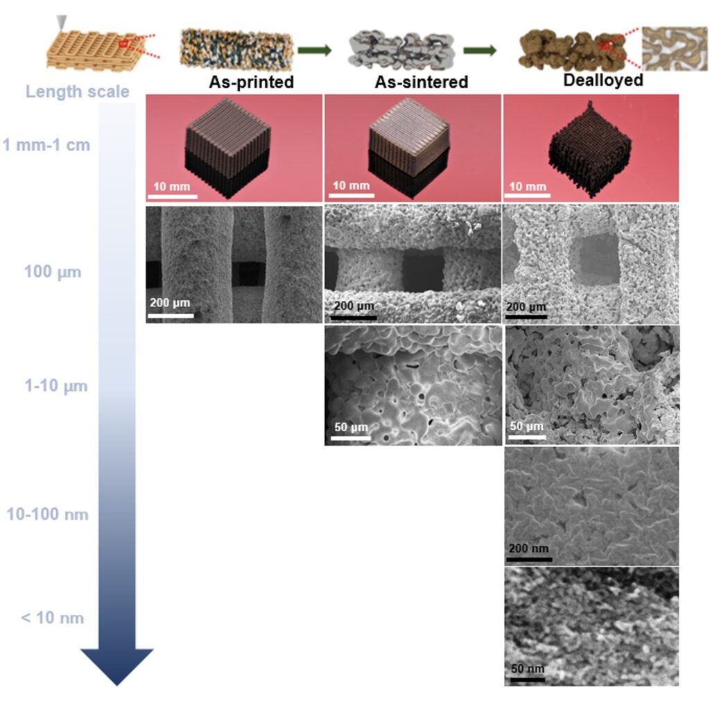 Team synthesizes multiscale multi-principal element alloy for future energy conversion and storage applications