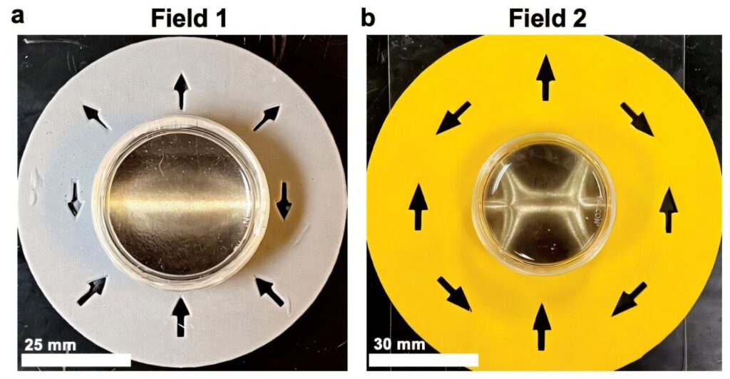 3D printing approach for shape-changing materials means better biomedical, energy, robotics devices