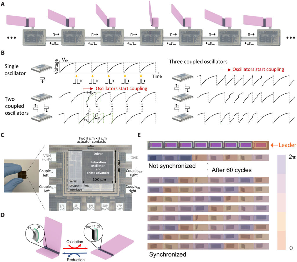 Engineering micromachines that can autonomously coordinate using electronic pulses