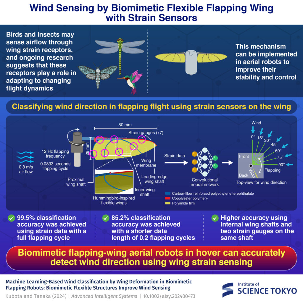 Hummingbird-inspired wings detect wind direction with 99% accuracy