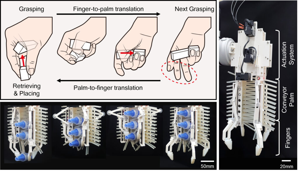 Robotic gripper mimics human hand to move multiple objects together