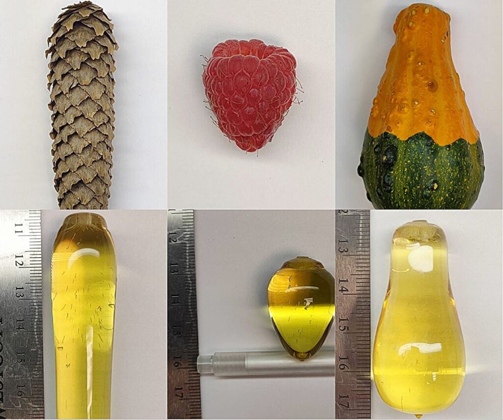 Nature-inspired 3D-printing method shoots up faster than bamboo