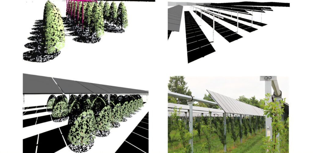 Optimizing agrivoltaic systems for crops and clean energy