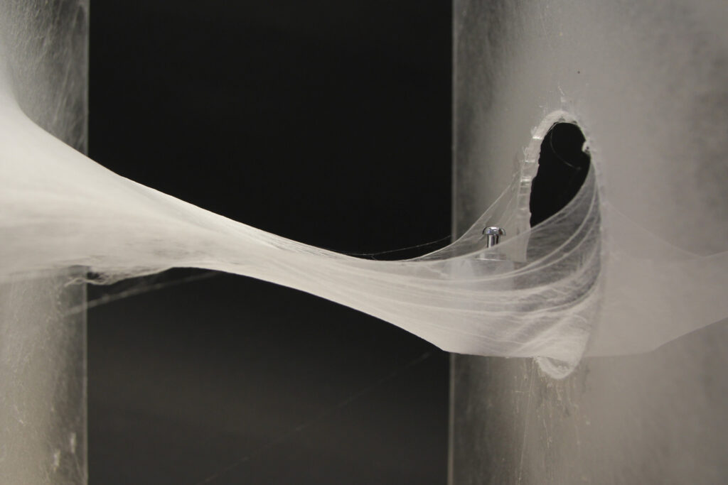 Silk-inspired in situ web spinning for situated robots