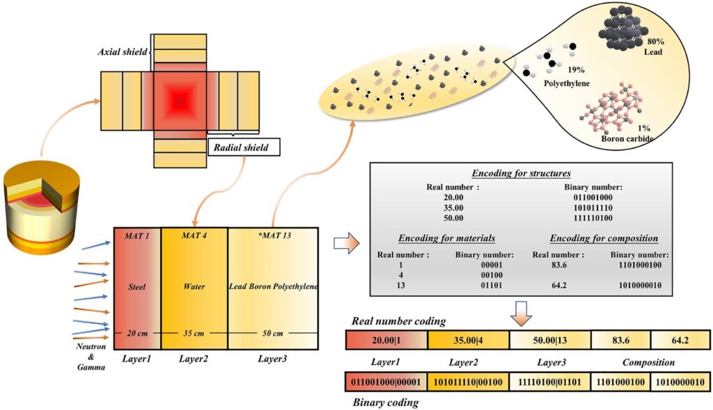Algorithms provide optimized radiation-shielding design solutions for new types of nuclear reactors