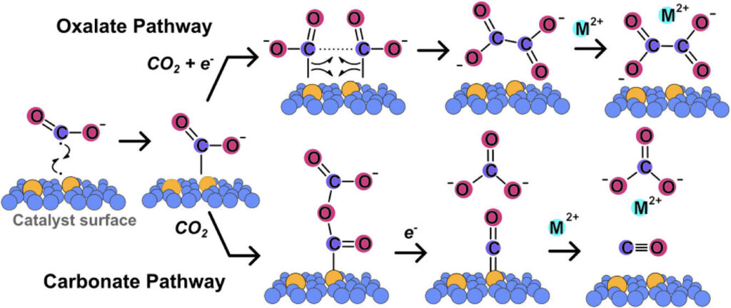 Carbon capture method mines cement ingredients from the air