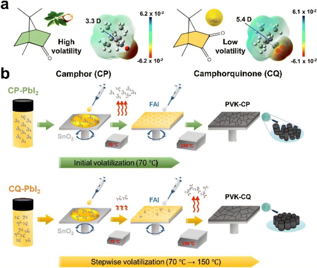 Eco-friendly method enhances perovskite solar cell quality using camphor-based additive