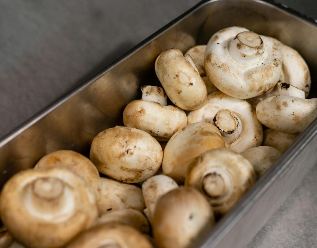 Examining mushrooms under microscopes can help engineers design stronger materials