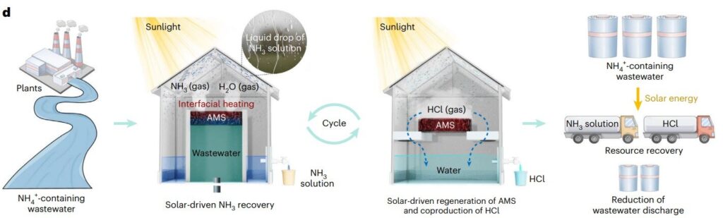 Floating sponges can recover ammonia from wastewater using the sun