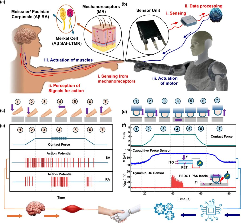 Scientists give robots a sense of touch with fabric that mimics human skin
