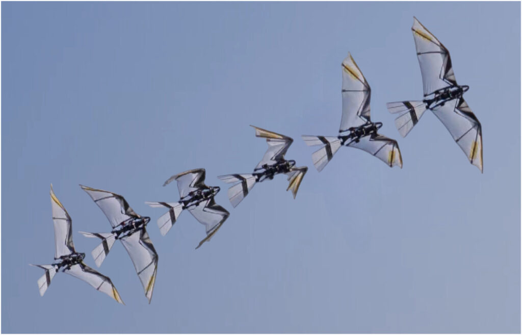 Bird-like robot with novel wing system achieves self-takeoff and low-speed flight Bird-like robot with novel wing system achieves self-takeoff and low-speed flight
