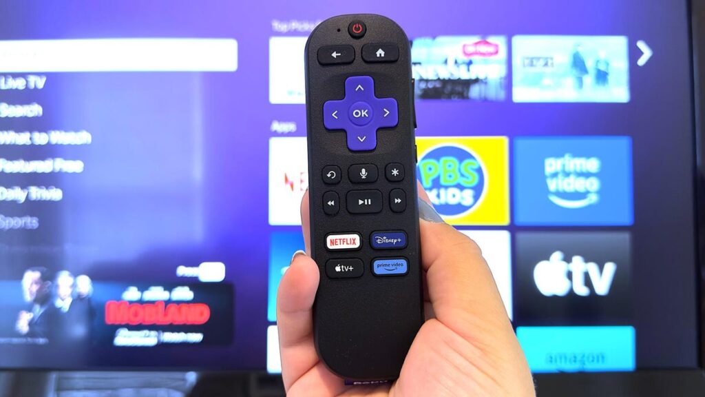 20+ useful Roku shortcuts and menus that every user should know about (and how to access them) 20+ useful Roku shortcuts and menus that every user should know about (and how to access them)