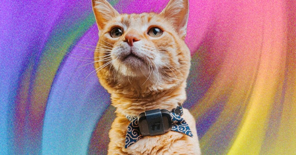 Fi Mini for Cats Review: Track Your Pets and Monitor Their Activity